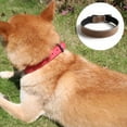 thumbnail image 3 of Leather Dog collar - The best full grain filled leather collar, 3 of 5