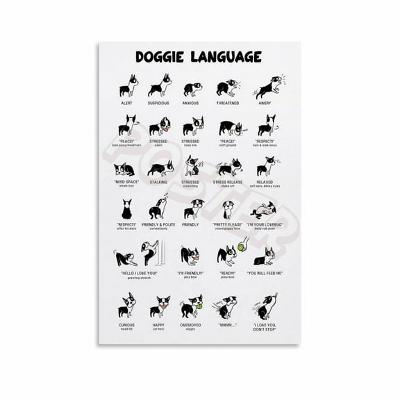 Dog Body Language Signals Infographic Poster Dog Training Guide Poster (2) Canvas Painting Posters And Prints Wall Art for Living Room Bedroom Decor