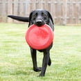 thumbnail image 4 of KONG® Classic Flyer Soft Catch Dog Toy, Red, Small, 4 of 9