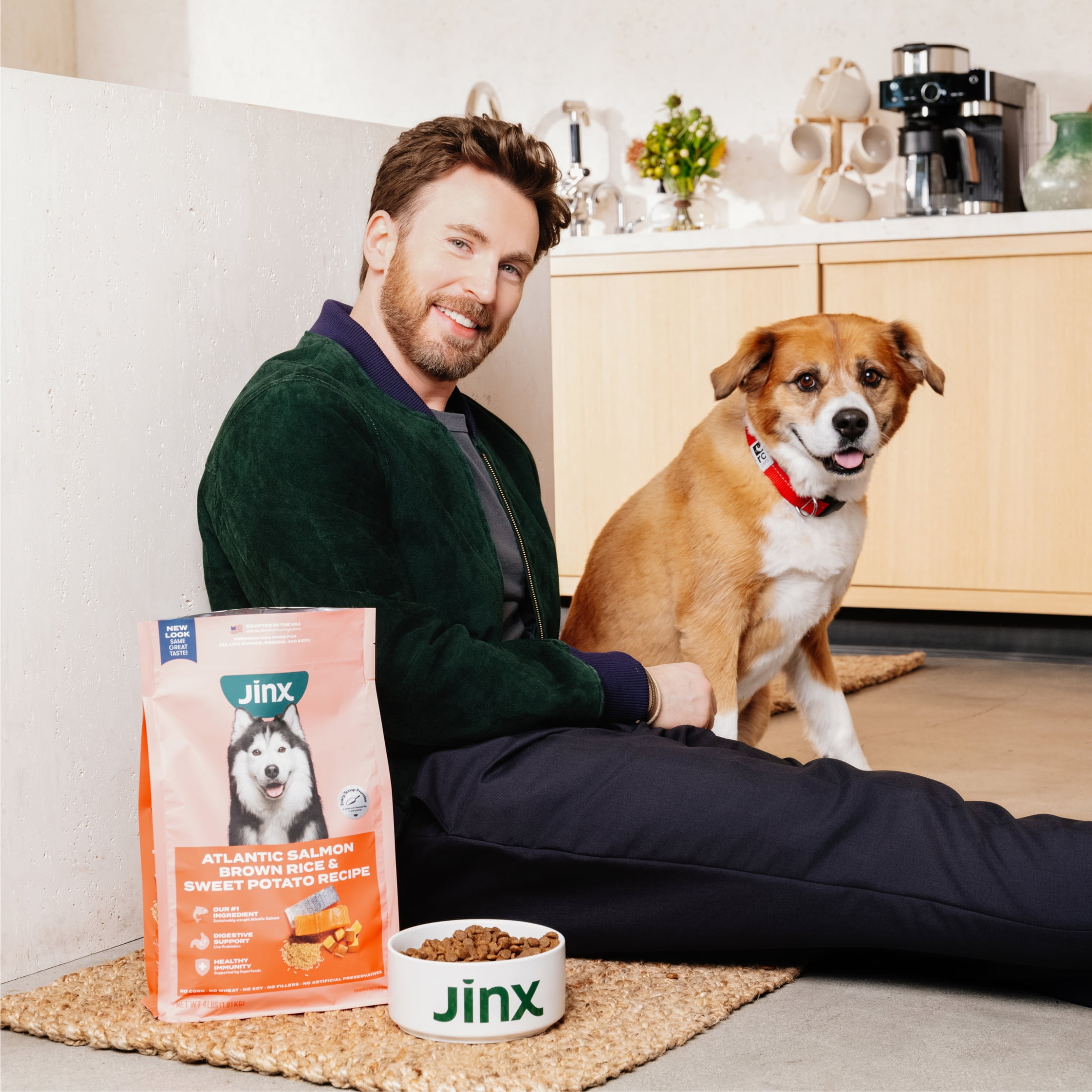 (6 pack) Jinx Homemades Chicken & Salmon Recipe Wet Natural Dog Food, Grain-Free, 9 oz. Pouch