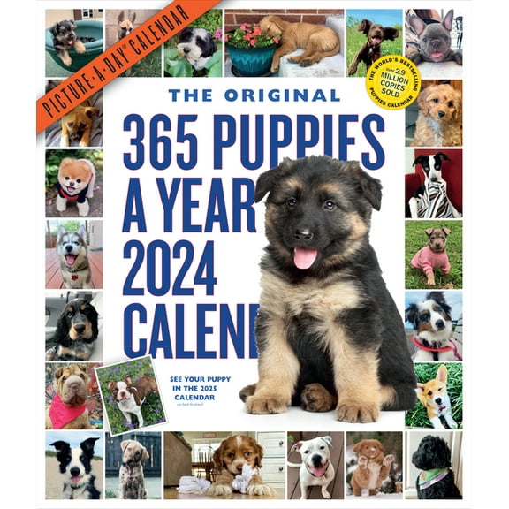 365 Puppies-A-Year Picture-A-Day Wall Calendar 2024: Absolutely Spilling Over with Puppies, (Paperback)