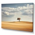 thumbnail image 2 of Designart "Horizons Endless In Prairies" Prairies Canvas Wall Art, 2 of 7
