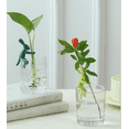 thumbnail image 4 of Plant Propagation Buddy; Plant Support for Sprouts, Stems, Shoots, and Cuttings; Cute Plant Supports for a Plant Propagation Station or an Indoor Garden; Plant Lover Gifts, 4 of 12