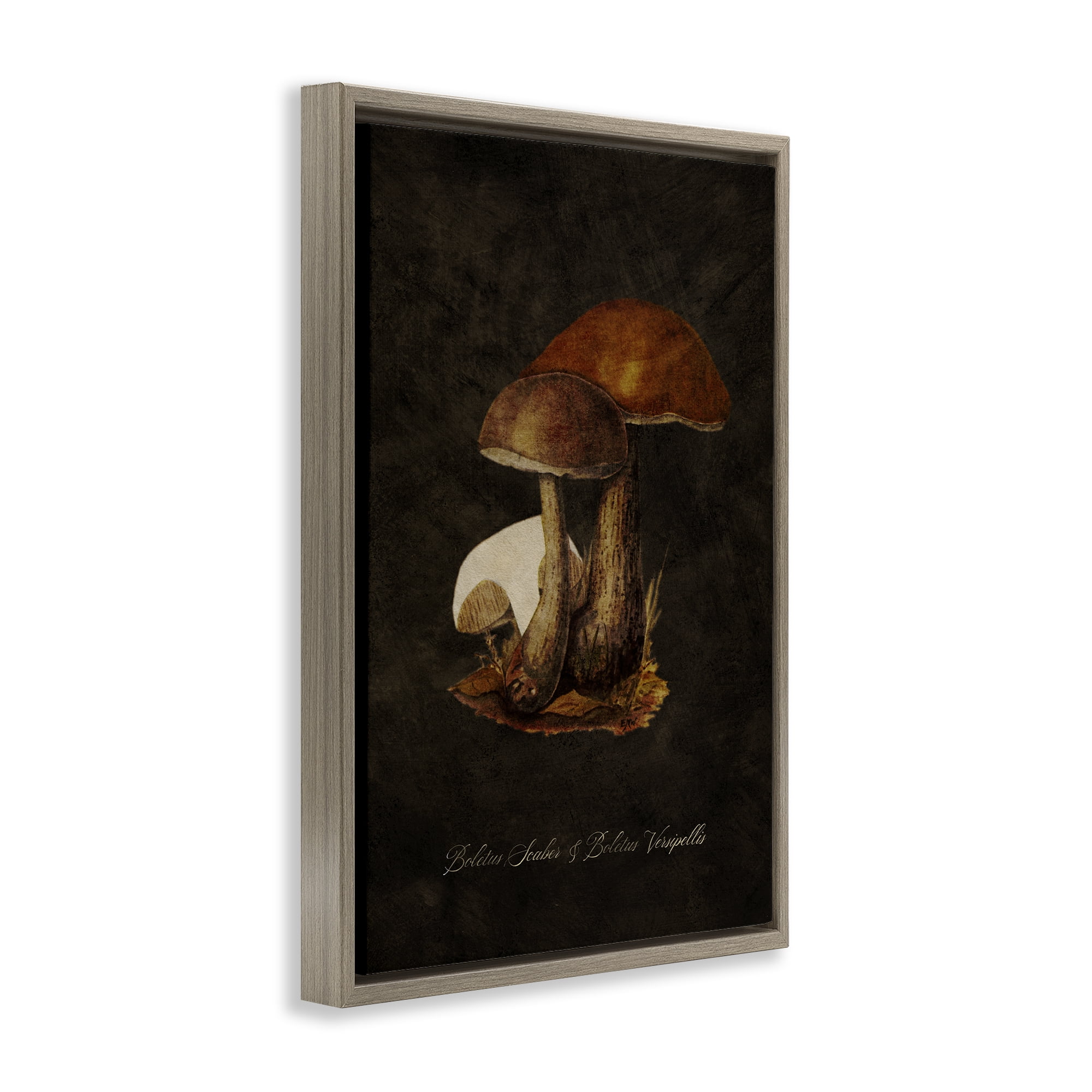 Stupell Industries Mushroom Types Study Plants & Flowers Painting Brown Floater Framed Canvas Art Print Wall Art, 21 x 31