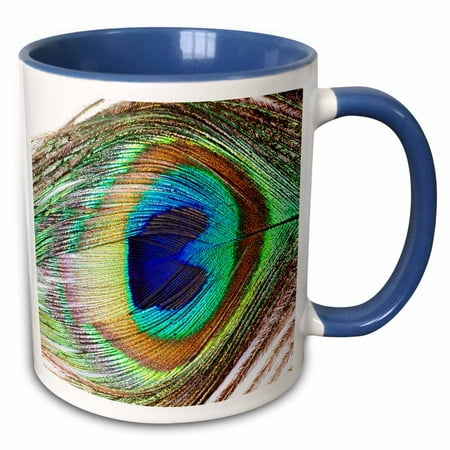 

3dRose Image of Multi Color Closeup of Peacock Feather - Two Tone Blue Mug 11-ounce