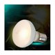 thumbnail image 3 of 4 Pack Reptile Uvb Uva Heat Lamp Bulb For Truly Sun-like Bright Heat For , Amphibian(100 W), 3 of 5