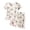 White, variant on LNMQLPDBS Kids Clothing Set Girls Size 10-12 Girl Outfits Size 7-8 Toddler Girls Outfits 3t Soccer Shirt and Dance Shorts Baby Girls Clothes, Pink 12-18 Months