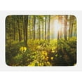 thumbnail image 1 of Forest Bath Mat, Trees Sun Rays in Woods Foliage Greenery Scenic Outdoors Tranquil Untouched, Non-Slip Plush Mat Bathroom Kitchen Laundry Room Decor, 29.5 X 17.5 Inches, Green Yellow Brown, Ambesonne, 1 of 2