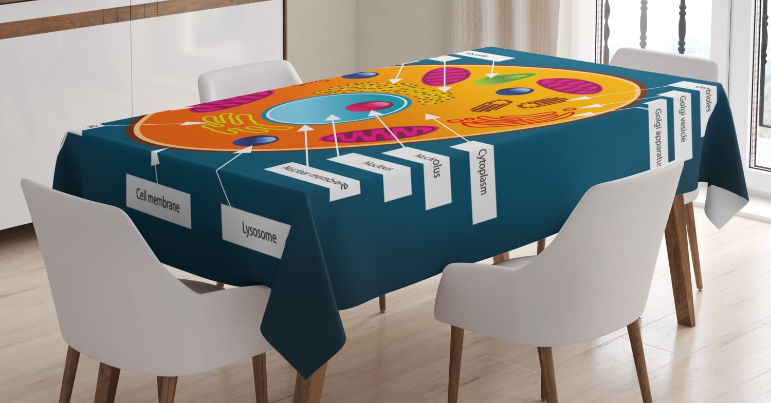 Educational Tablecloth, Science at School Cell of an Animal Colorful