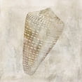 thumbnail image 3 of Robinson, Carol 15x15 Black Modern Framed Museum Art Print Titled - Seashell Illusion II, 3 of 5