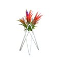 thumbnail image 1 of Soporte Para Plantas De Aire De Mesa, Exhibición De Arte Del Hierro, Decoración Para Interiores Y Exteriores Para El Hogar, Adornos Geométricos De Jardín Tillandsia, Soporte Para Macetas De Oficina Serendint HA026904-02, 1 of 5
