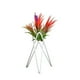 thumbnail image 1 of Soporte Para Plantas De Aire De Mesa, Exhibición De Arte Del Hierro, Decoración Para Interiores Y Exteriores Para El Hogar, Adornos Geométricos De Jardín Tillandsia, Soporte Para Macetas De Oficina Speravity HA026904-02, 1 of 5