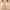 Beige, variant on GENGING Ladies Tops Clearance Fashion Ladies Bralettes Solid Color Wireless Lace Flower Decoration Pad Gathering Daily Bra
