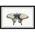thumbnail image 2 of Cream Colored Wings Framed Painting Print, 2 of 6