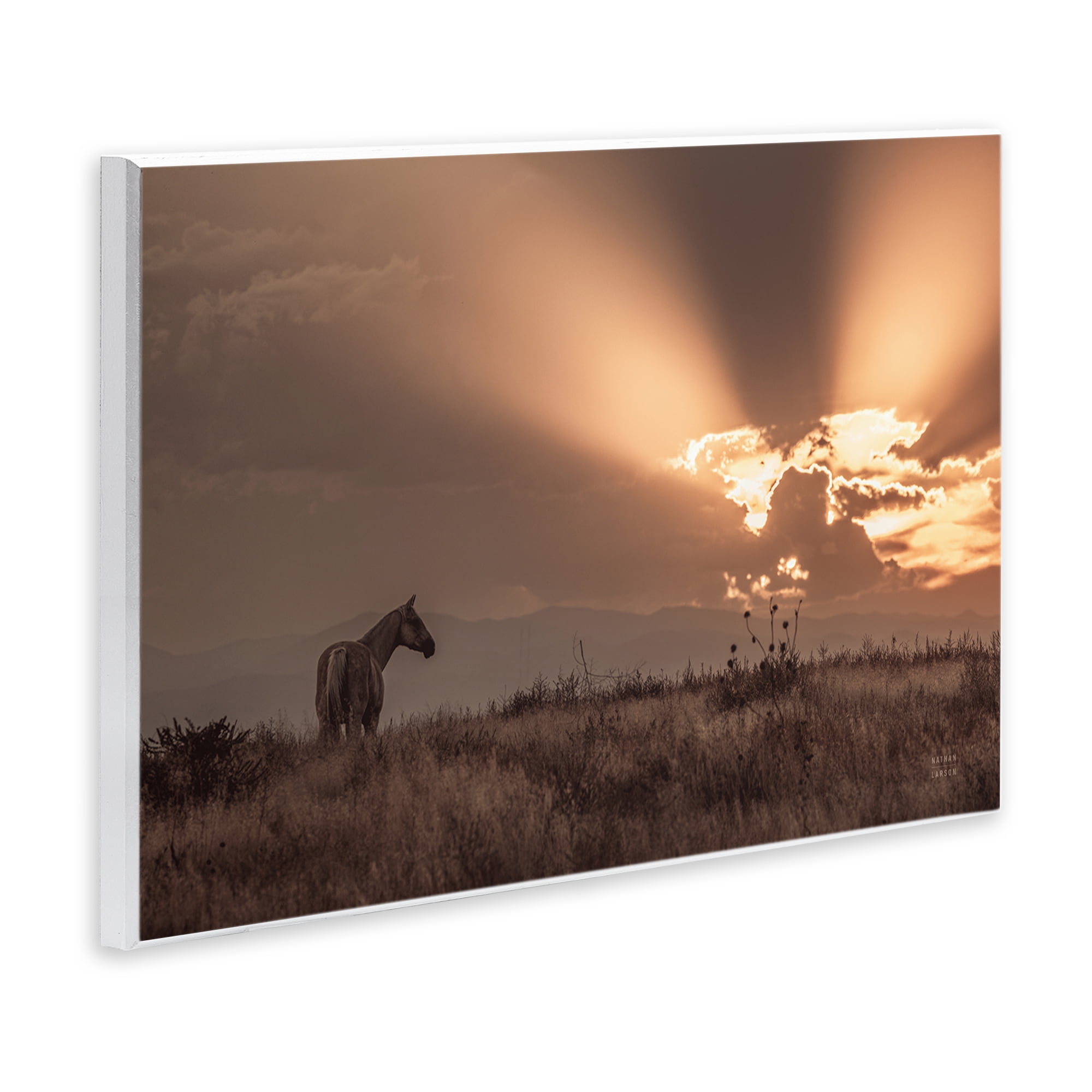 Stupell Industries Faded Sunset with Horse Landscape & Nature Photography Unframed Art Print Wall Art, 15 x 10