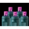 thumbnail image 1 of Reinders 5MM50PRP-T 5mm Twinkle Light Strands - Purple, 1 of 1