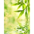 thumbnail image 2 of Bamboo Leaves Reflected Rendered Wall Mural by Wallmonkeys Peel and Stick Graphic (18 in H x 14 in W) WM272021, 2 of 4