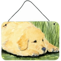 Carolines Treasures SS8864DS812 Golden Retriever Indoor Aluminum Metal Wall or Door Hanging Prints, 8 x 12", Multicolor