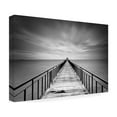 thumbnail image 3 of Trademark Fine Art Michael De Guzman Withstand Canvas Wall Art - 16x24, 3 of 5