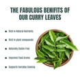 thumbnail image 3 of True Organic Ceylon Curry Leaves 1 oz, 3 of 6