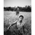 thumbnail image 2 of Us Marine With Viet Cong Pow. A Marine Guards A Viet Cong As He Moves Through Tall Grass Toward The Collection Point, 2 of 2