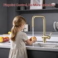 thumbnail image 6 of SUMERAIN Brushed Gold Kitchen Faucet with Sprayer, Stainless Steel Pull Down Kitchen Sink Faucet Lead Free, 6 of 12