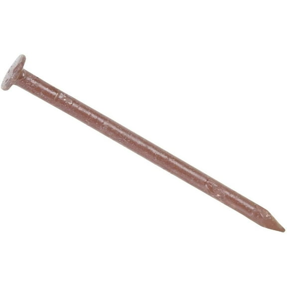 PrimeSource Stainless Steel Trim Nail - General Use