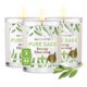 thumbnail image 1 of Magn&#2013265933fico juego de 3 velas 101 Sage Plus (salvia pura), 1 of 6