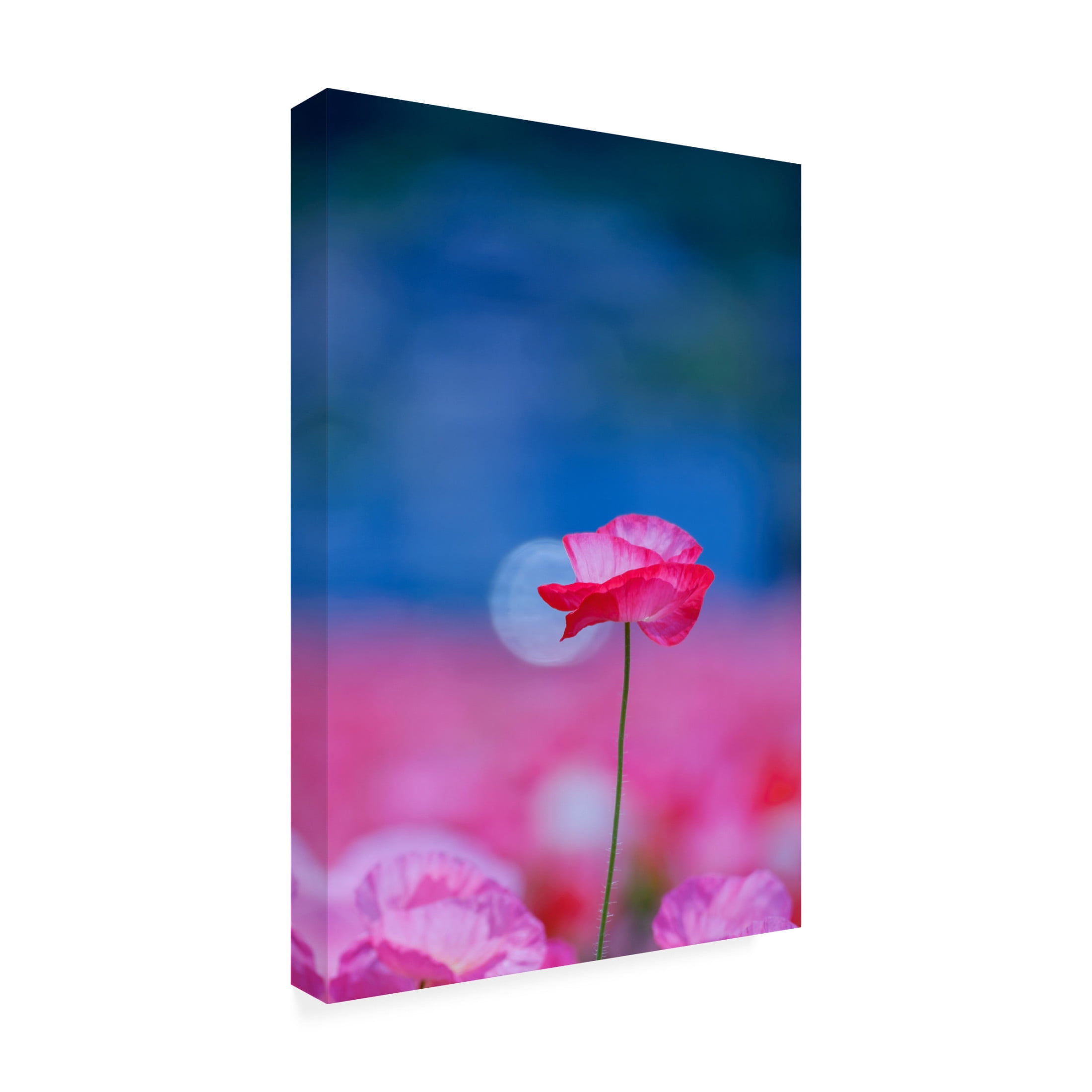 Trademark Fine Art Chisho Nakada  Pink Floral Canvas Wall Art