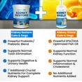 thumbnail image 5 of Kidney Restore & Shield Supplement Two-Pack for Cats & Dogs - Natural Renal Health Support, 5 of 7