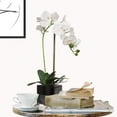 thumbnail image 4 of 5-Inch Phalaenopsis Orchid in Black Cube Pot –  Artificial Flower for Home, Office & Event Décor, 4 of 5