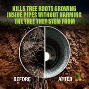 Green Gobbler Foaming Root Killer, Treats & Prevents Roots from Entering and Regrowing in Pipes, 4lb - 2 Treatments