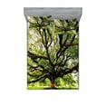 thumbnail image 2 of Ambesonne Nature Fitted Sheet & Pillow Sham Set, Majestic Tree Thailand, Twinxl, Green Brown, 2 of 3