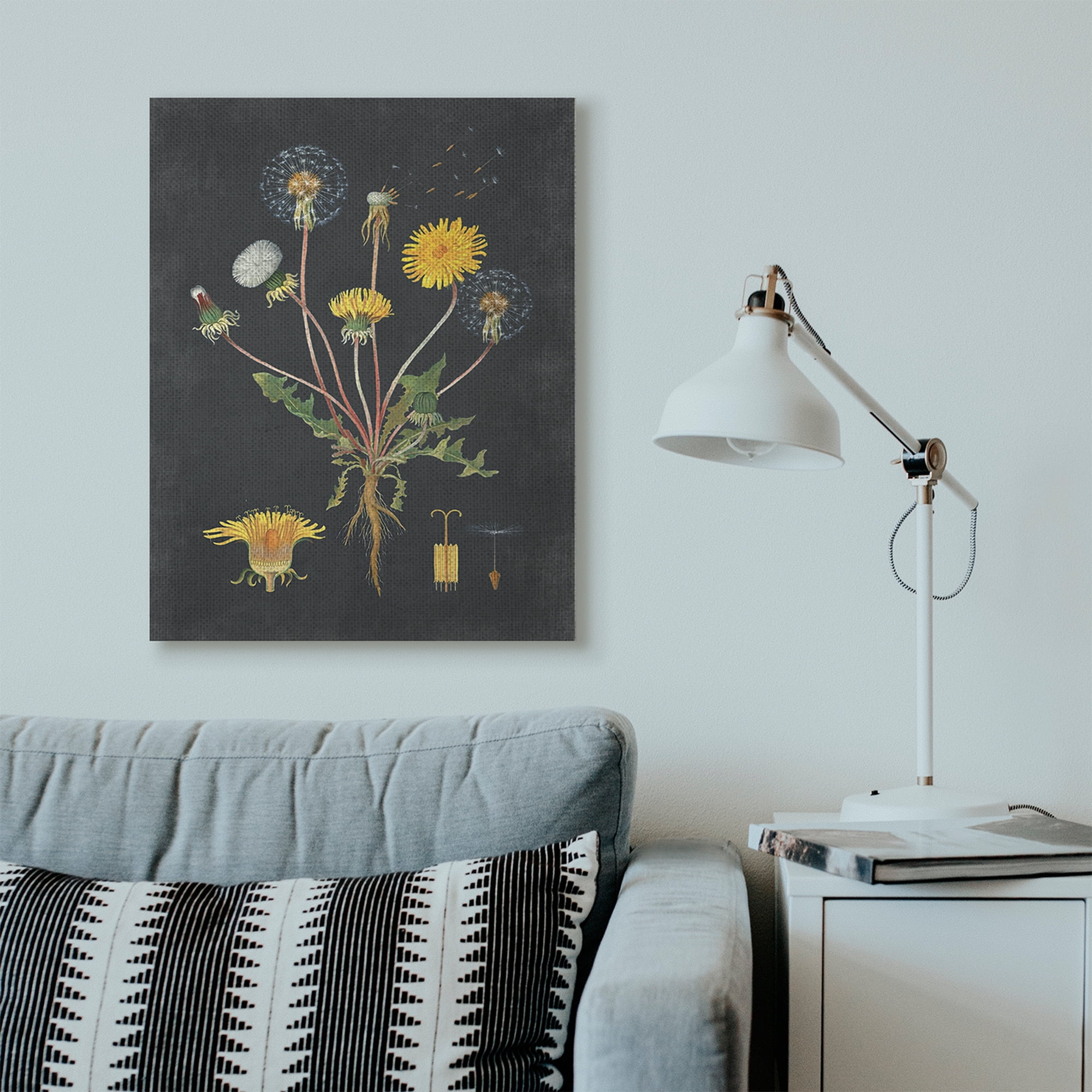 Stupell Industries Botanical Drawing Dandelion On Black Design Canvas Wall Art by Lettered and Lined