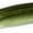 SMALL MOUTH MAGIC, variant on Zoom Super Fluke, 5-1/4", 4oz, 10pk, Small Mouth Magic