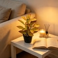 thumbnail image 7 of Artificial Potted Plants with Black Planter Faux Croton Greenery for Living Room and Office Desktop Decor, 7 of 7
