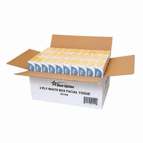 Soft 2-Ply Facial Tissue, White, 100-Count Box, Gentle and Durable (3,000 Tissues, Bulk Pack of 30-Boxes)