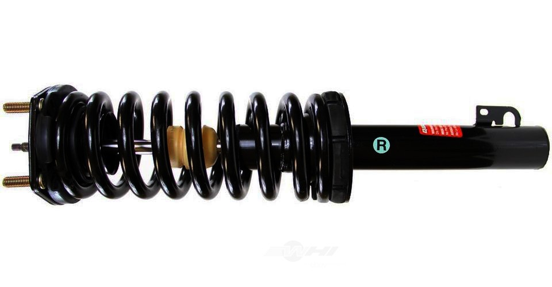 Suspension Strut and Coil Spring Assembly