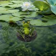 thumbnail image 6 of CARRFA Floating Resin Frog Figurine Pond Decor, Water Floating Frog Ornament, Animal Gardening Gifts for Home Yard Garden Pond Decoration, 6 of 10