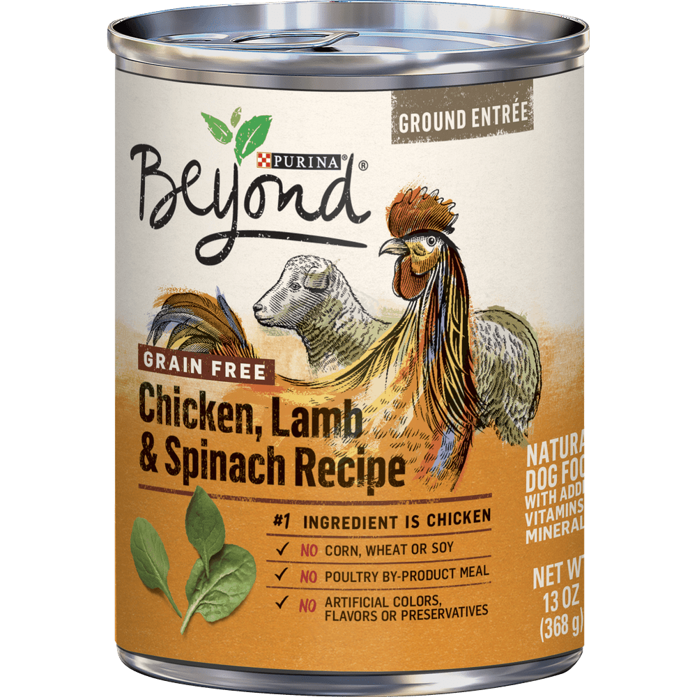 Purina Beyond Grain Free, Natural Pate Wet Dog Food, Grain Free Chicken