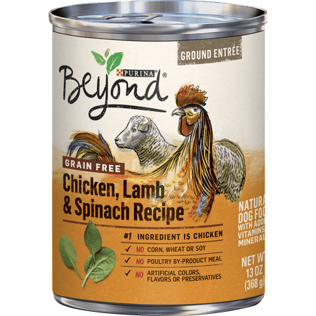 (12 Pack) Purina Beyond Grain Free, Natural Pate Wet Dog Food, Grain Free Chicken, Lamb & Spinach Recipe, 13 oz. Cans