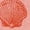 DESERT PINK, variant on Instant Message - Guide to Sea Shells - Youth Girls Fitted Short Sleeve T-Shirt