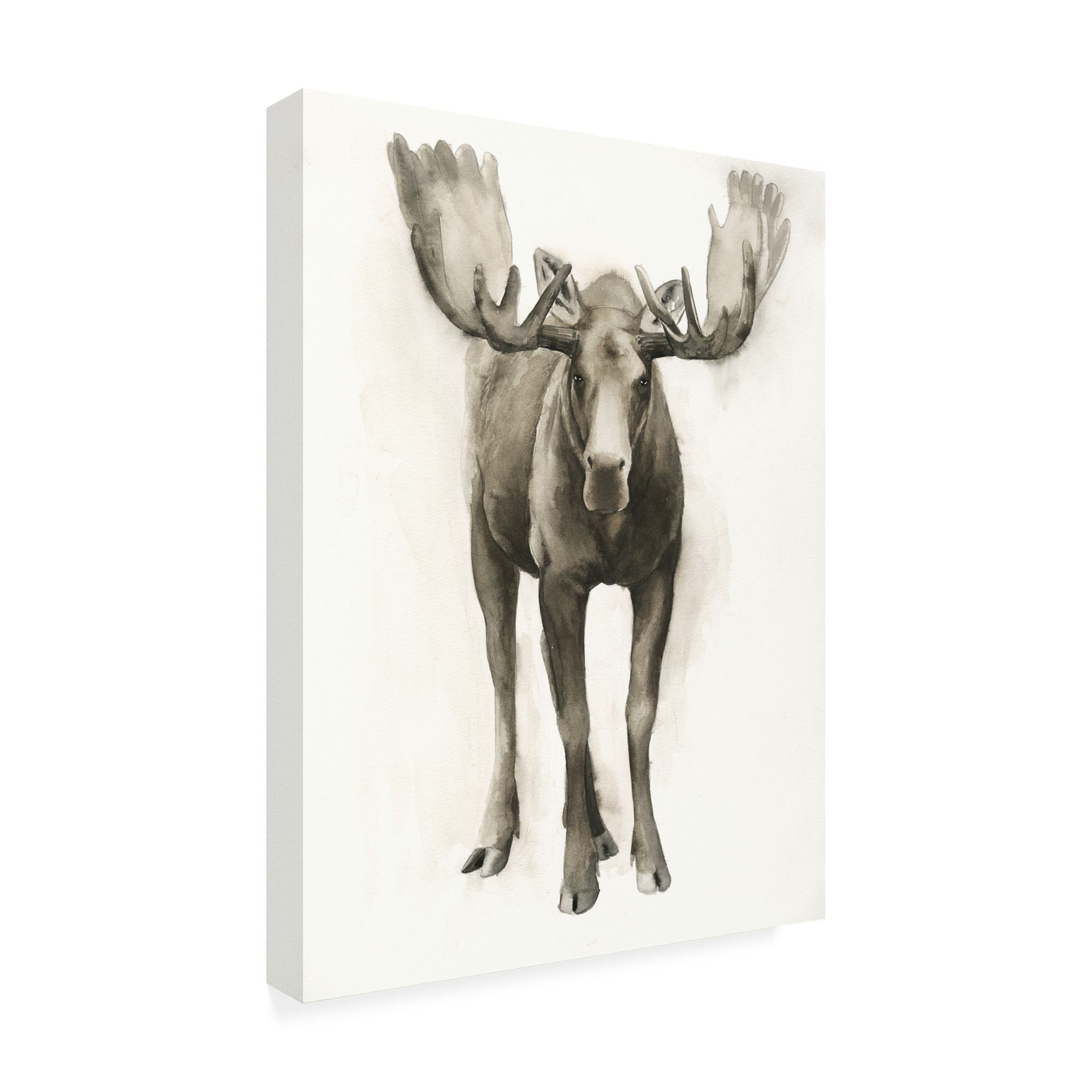 Trademark Fine Art 'Majestic Wildlife I' Canvas Art by Grace Popp