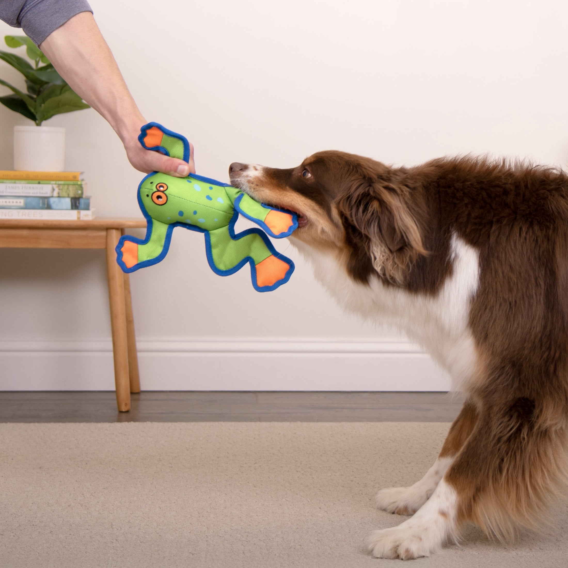 goDog Flap ‘N Fun Freddy Frog Squeaky Dog Toy, Plush with Chew Guard Technology, Green/Orange, Medium