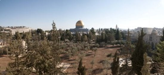 Trees With Mosque I