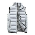 thumbnail image 2 of LEEYNEER Men‘s Lightweight Puffer Vest Winter Warm Slim Fit Down Vest Packable Outdoor Running Hiking Travel Sleeveless Jacket with Pockets, 2 of 5