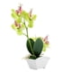 thumbnail image 2 of Maceta decorativa con forma de mariposa y orquídea artificial para decoración del hogar, 2 of 8