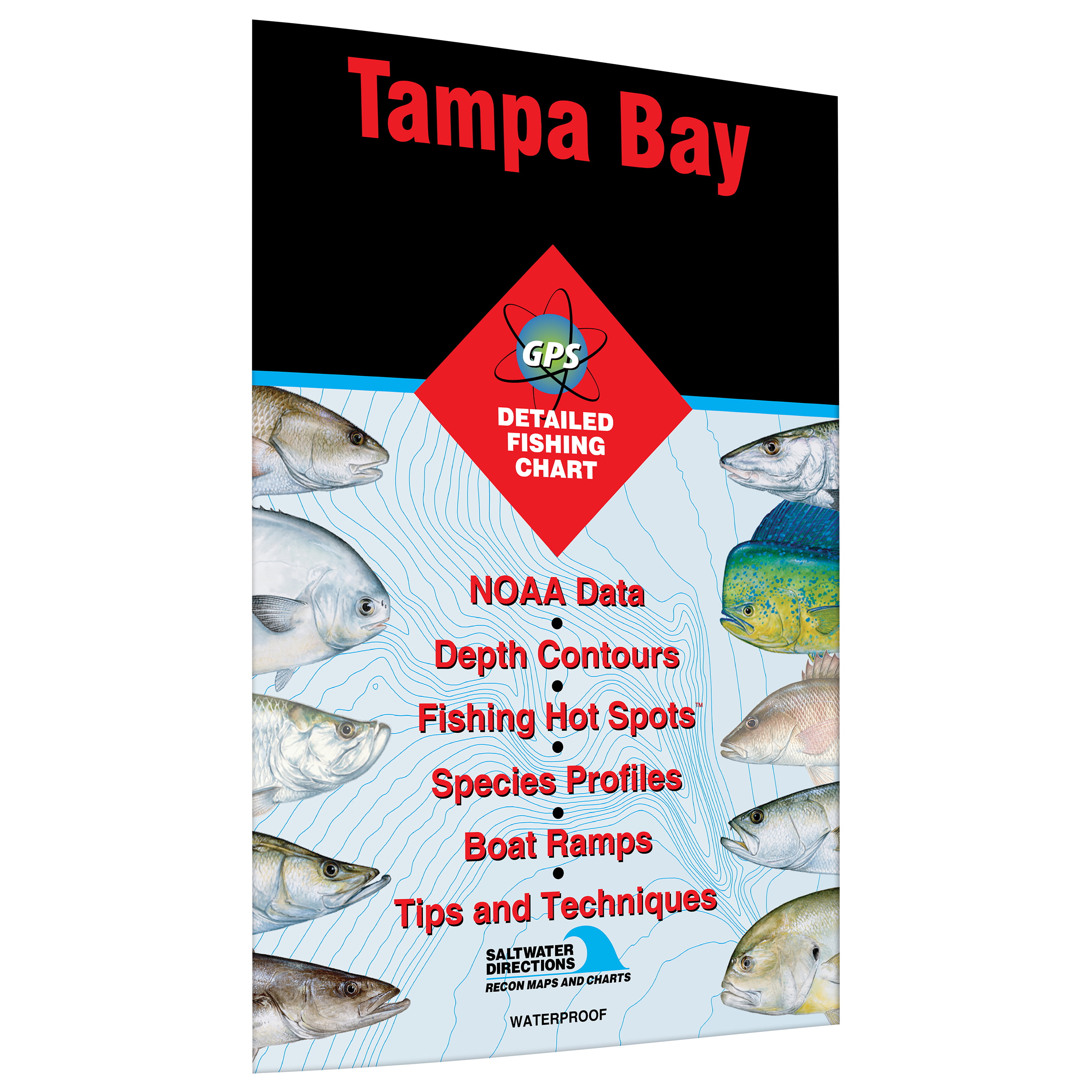 Tampa Bay Fish Chart