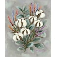 thumbnail image 2 of Baker, Sara 20x24 White Modern Wood Framed Museum Art Print Titled - Cotton Bouquet, 2 of 4