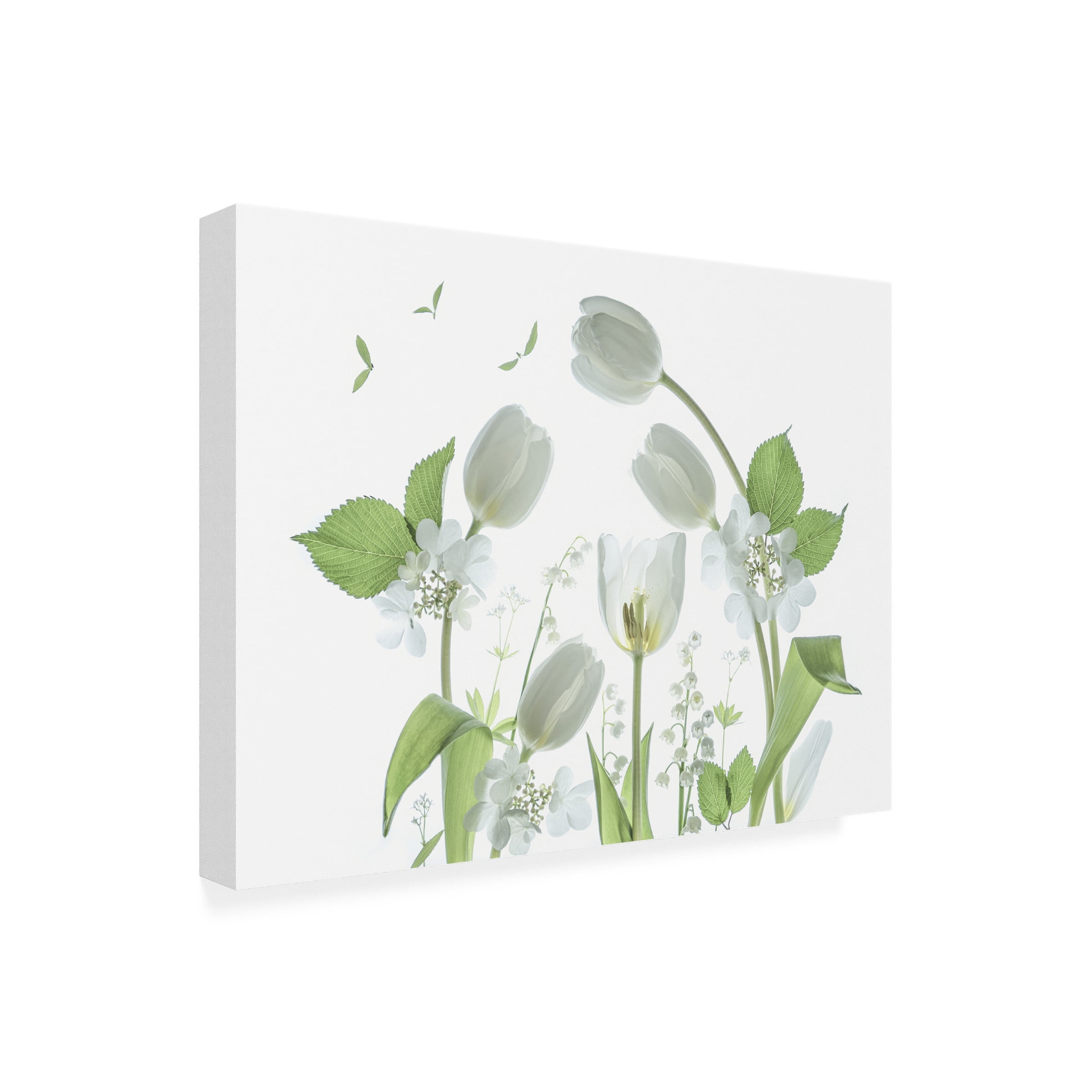 Catherine W 'Innocence' Canvas Art